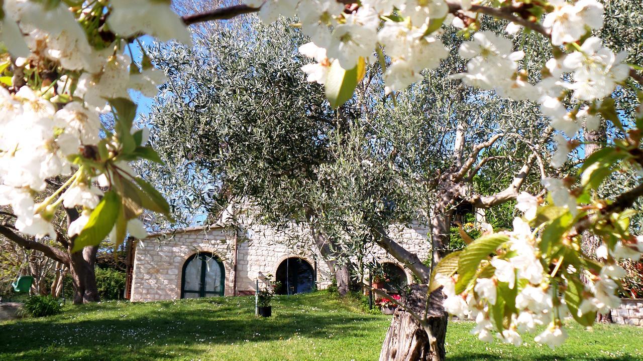 Bed and Breakfast Campo Del Mare à Sirolo Extérieur photo