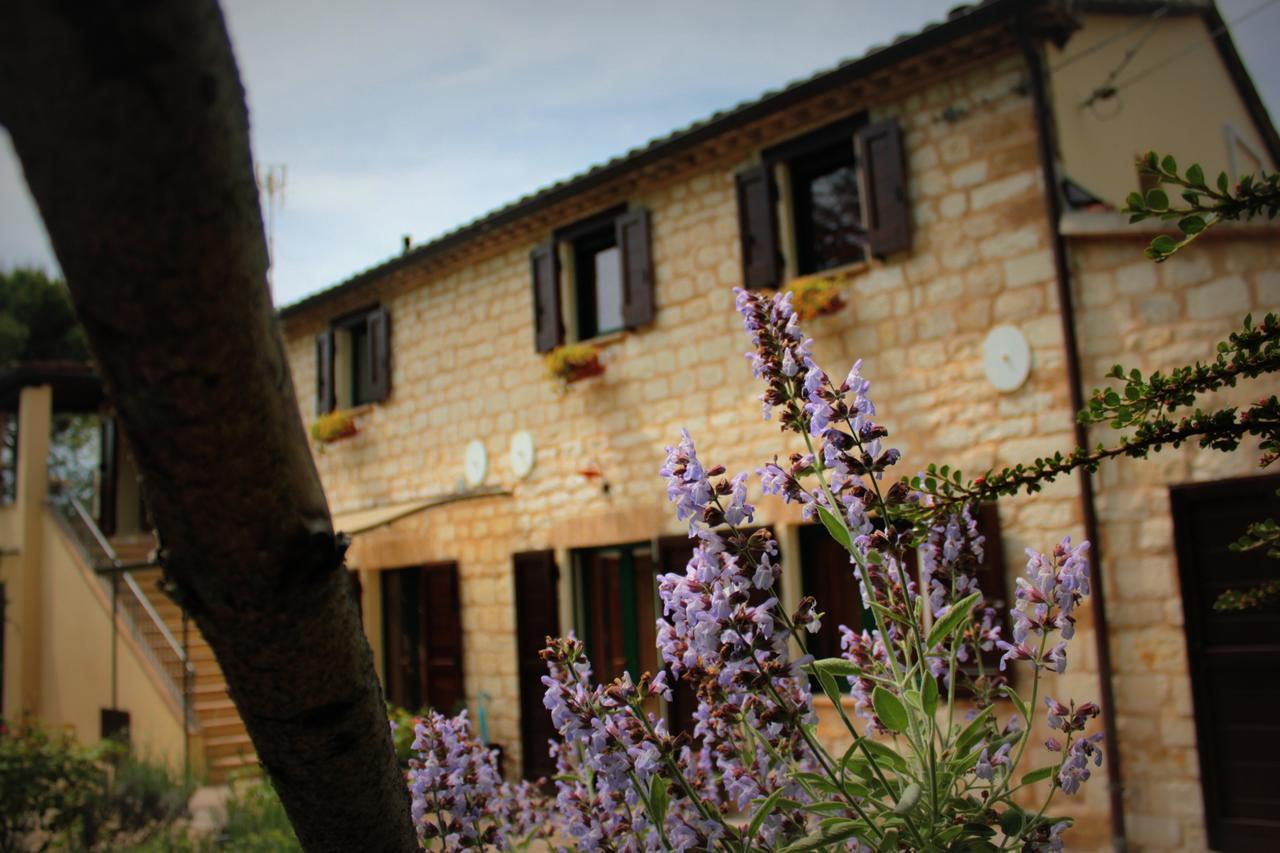 Bed and Breakfast Campo Del Mare à Sirolo Extérieur photo